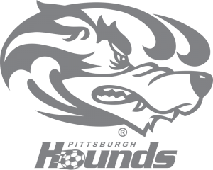 2016 Hounds Logo Hi