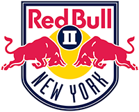 New York Red Bulls Logo Low